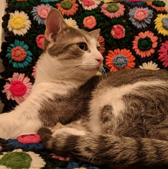 Meet your Posher, Bilgesu - Picture 4 of 8